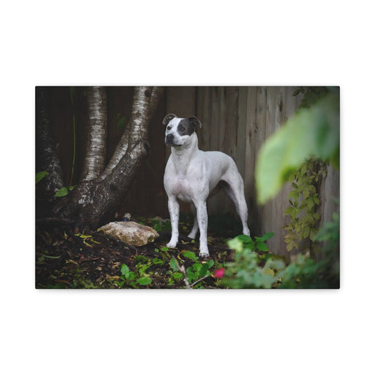 Dog Portrait Canvas Print — Matte Stretched Wall Art