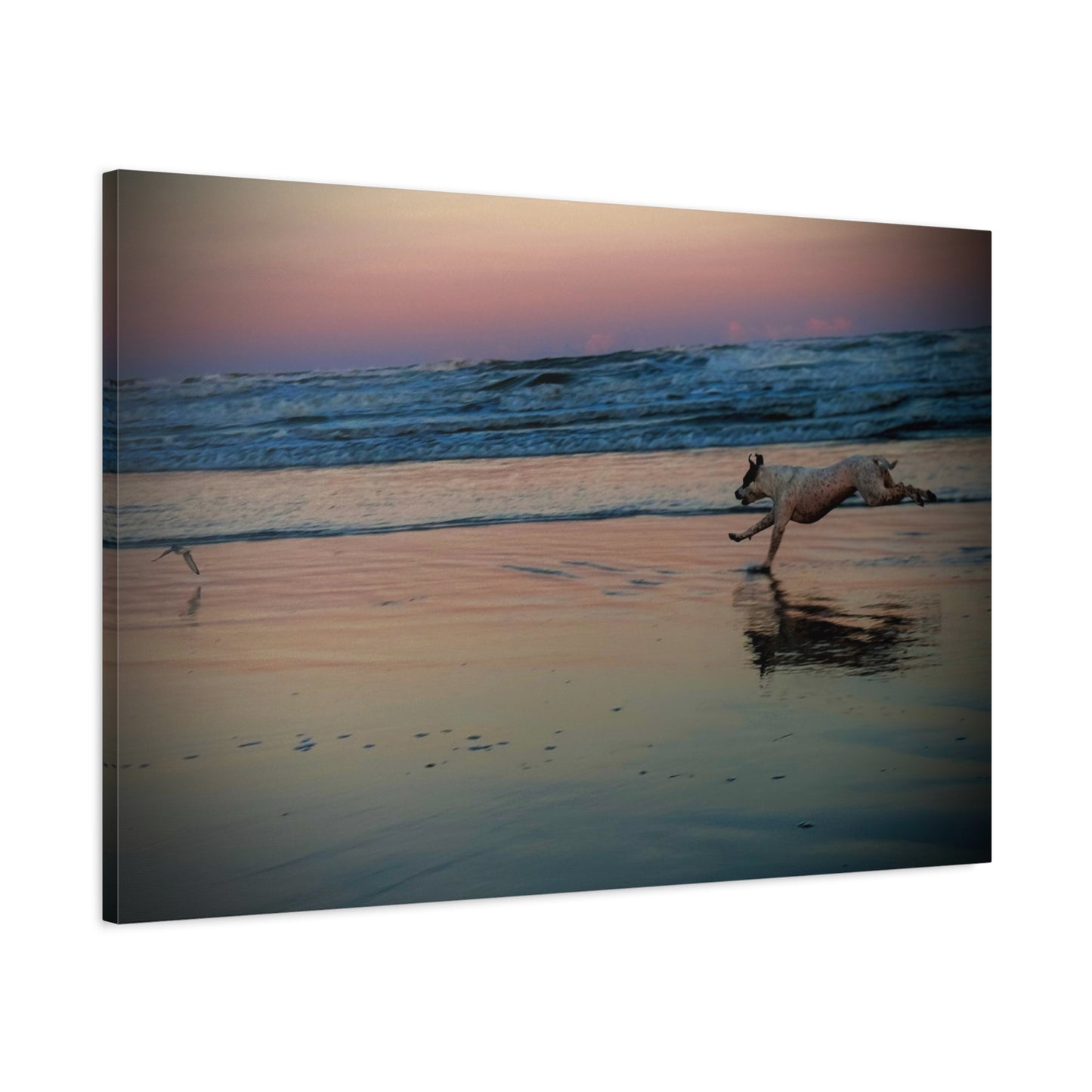 Seaside Sunset Canvas Print — Running Beach Dog Wall Art (Matte Stretched 1.25")
