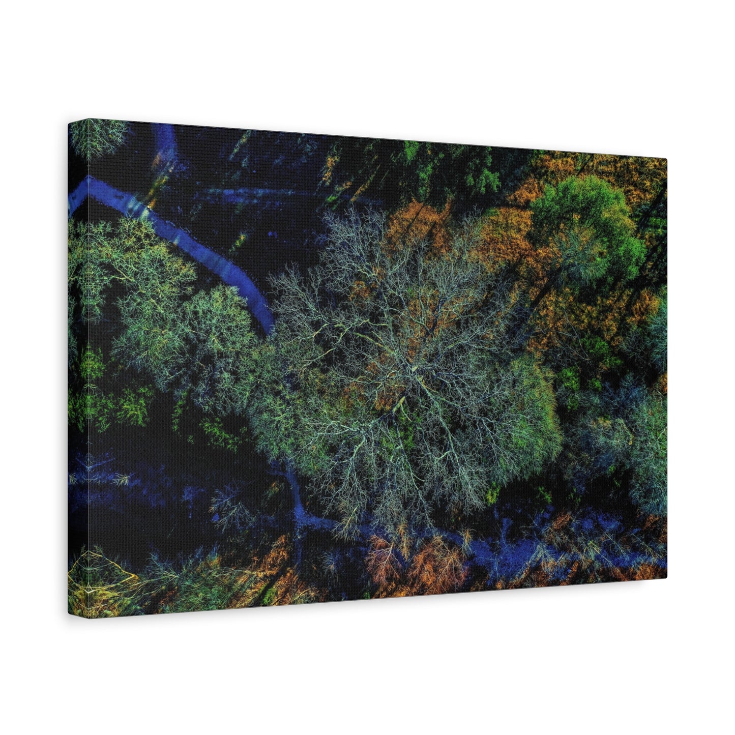 Aerial Forest Canvas Print — Matte Stretched Wall Art