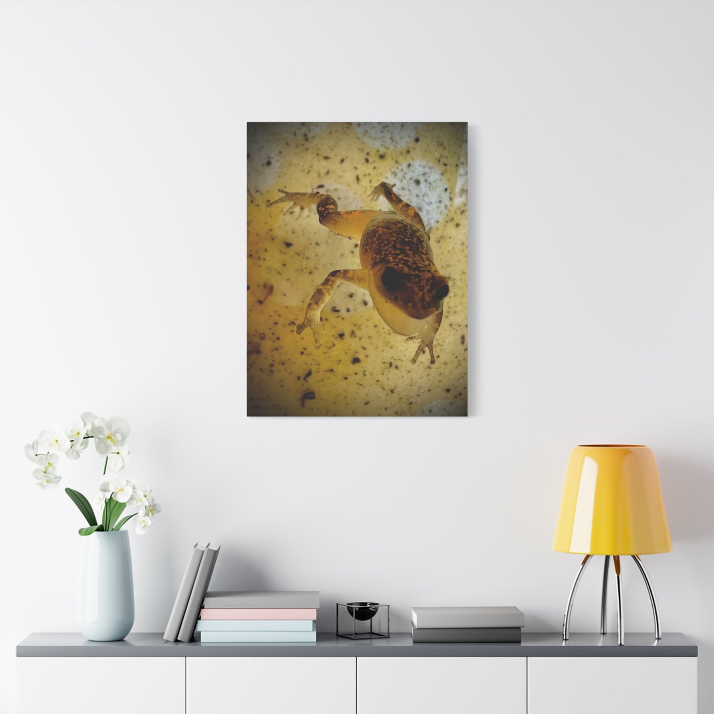 Golden Frog Canvas Wall Art — Close-Up Amphibian Photography
