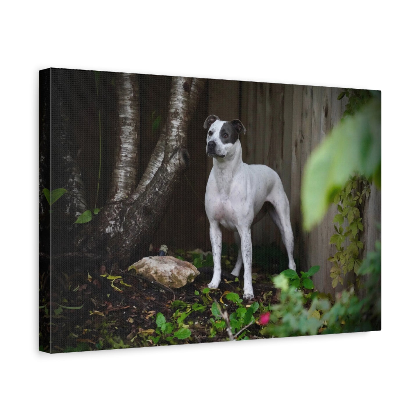 Dog Portrait Canvas Print — Matte Stretched Wall Art