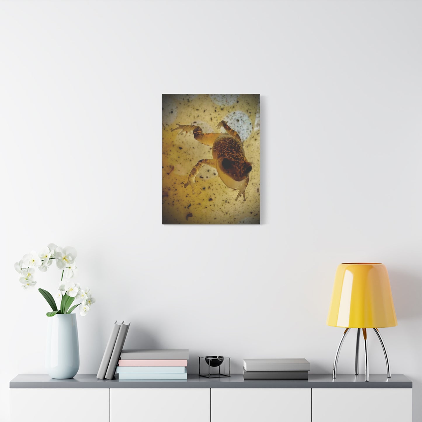 Golden Frog Canvas Wall Art — Close-Up Amphibian Photography