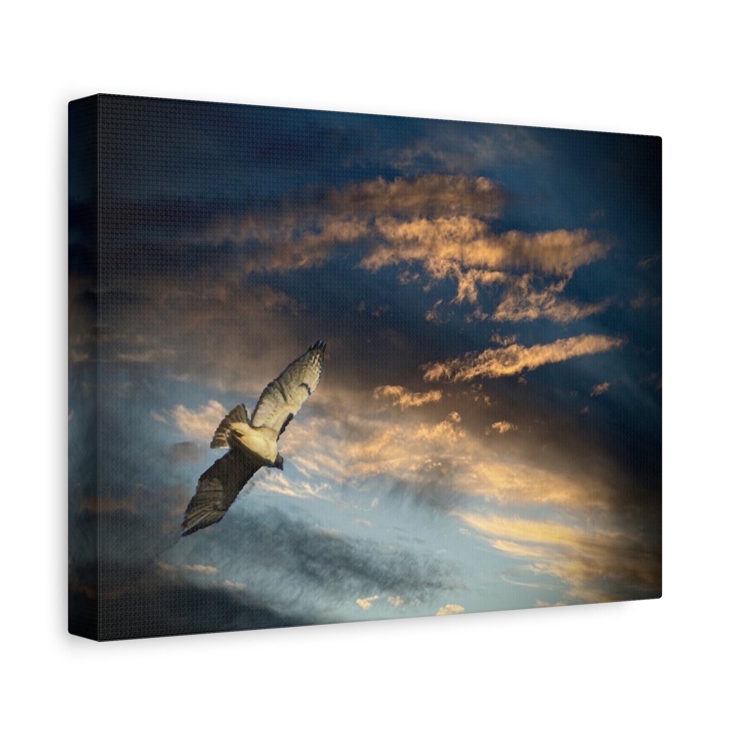 Hawk at Sunset Matte Canvas Print — Coastal Wall Art, Tranquil Ocean Sky