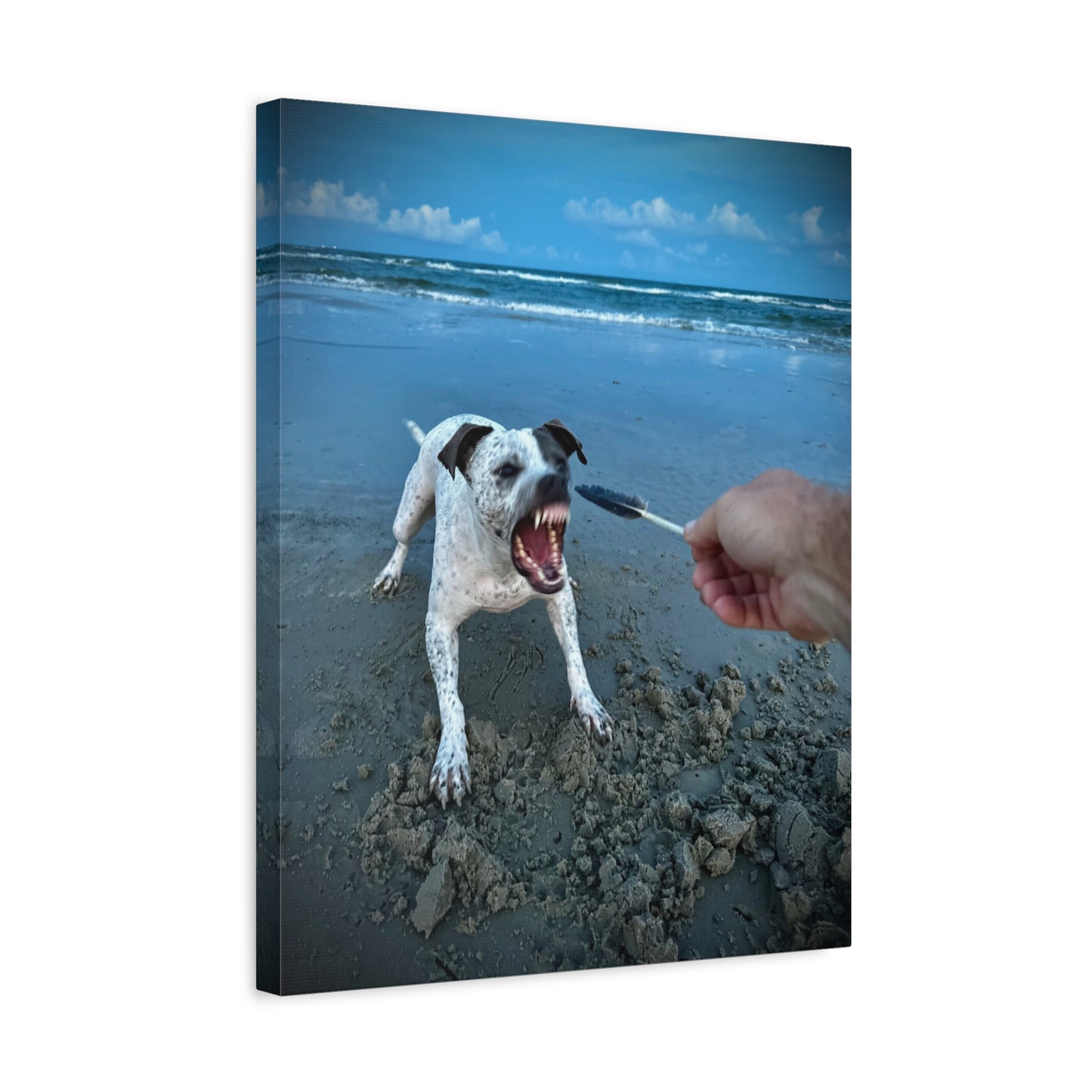 Playful Beach Dog Canvas Print — "Fetch" Moment Wall Art