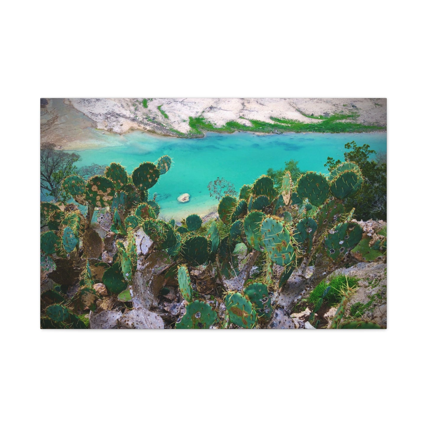 Desert Cactus Coastal Canvas Print — Turquoise Lagoon Wall Art, Matte Stretched 1.25"