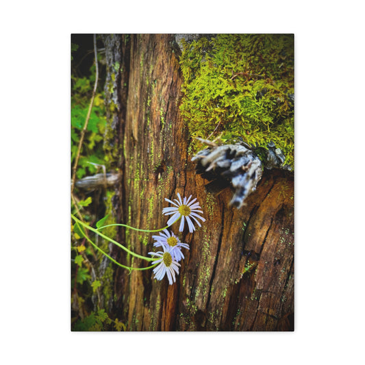 Wildflower & Moss Canvas Print — Rustic Nature Wall Art (Matte Stretched)