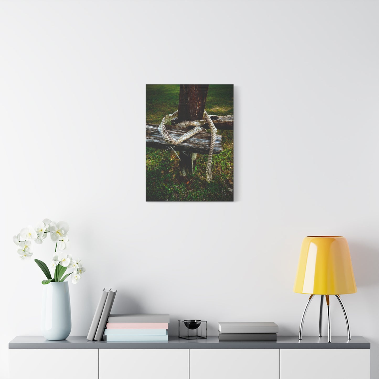 Snake Shed on Rustic Fence — Matte Stretched Canvas Wall Art