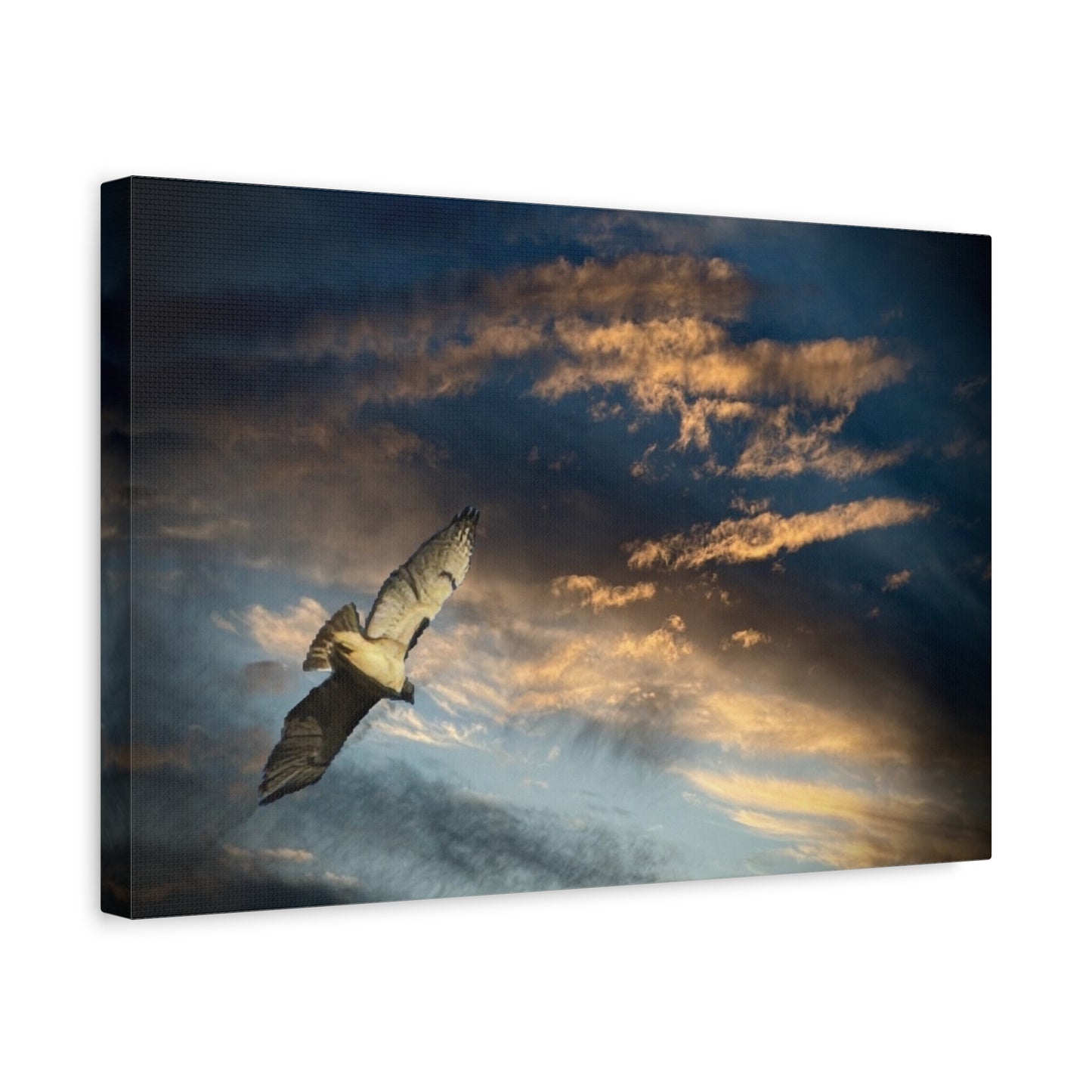 Hawk at Sunset Matte Canvas Print — Coastal Wall Art, Tranquil Ocean Sky