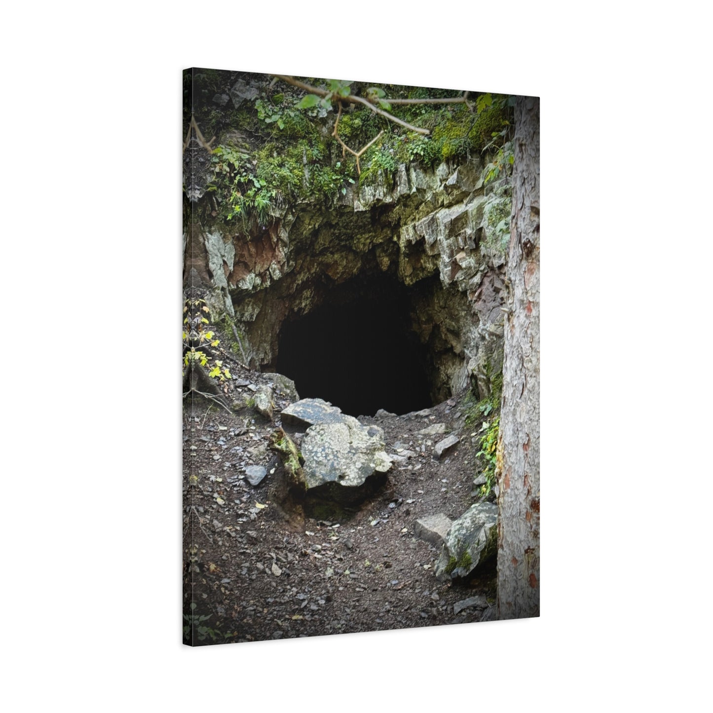 Cave Entrance Matte Canvas Wall Art — Stretched 1.25"