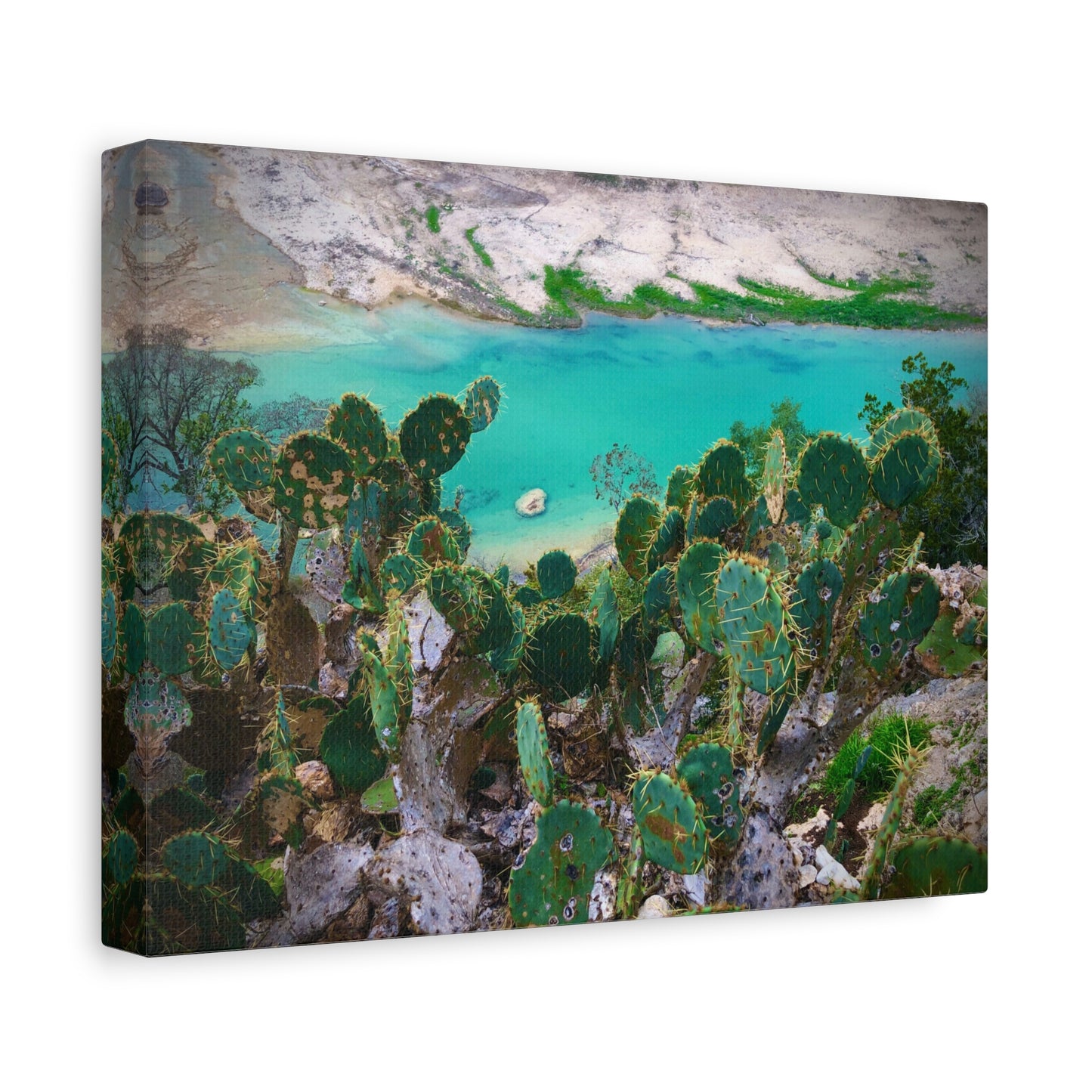 Desert Cactus Coastal Canvas Print — Turquoise Lagoon Wall Art, Matte Stretched 1.25"
