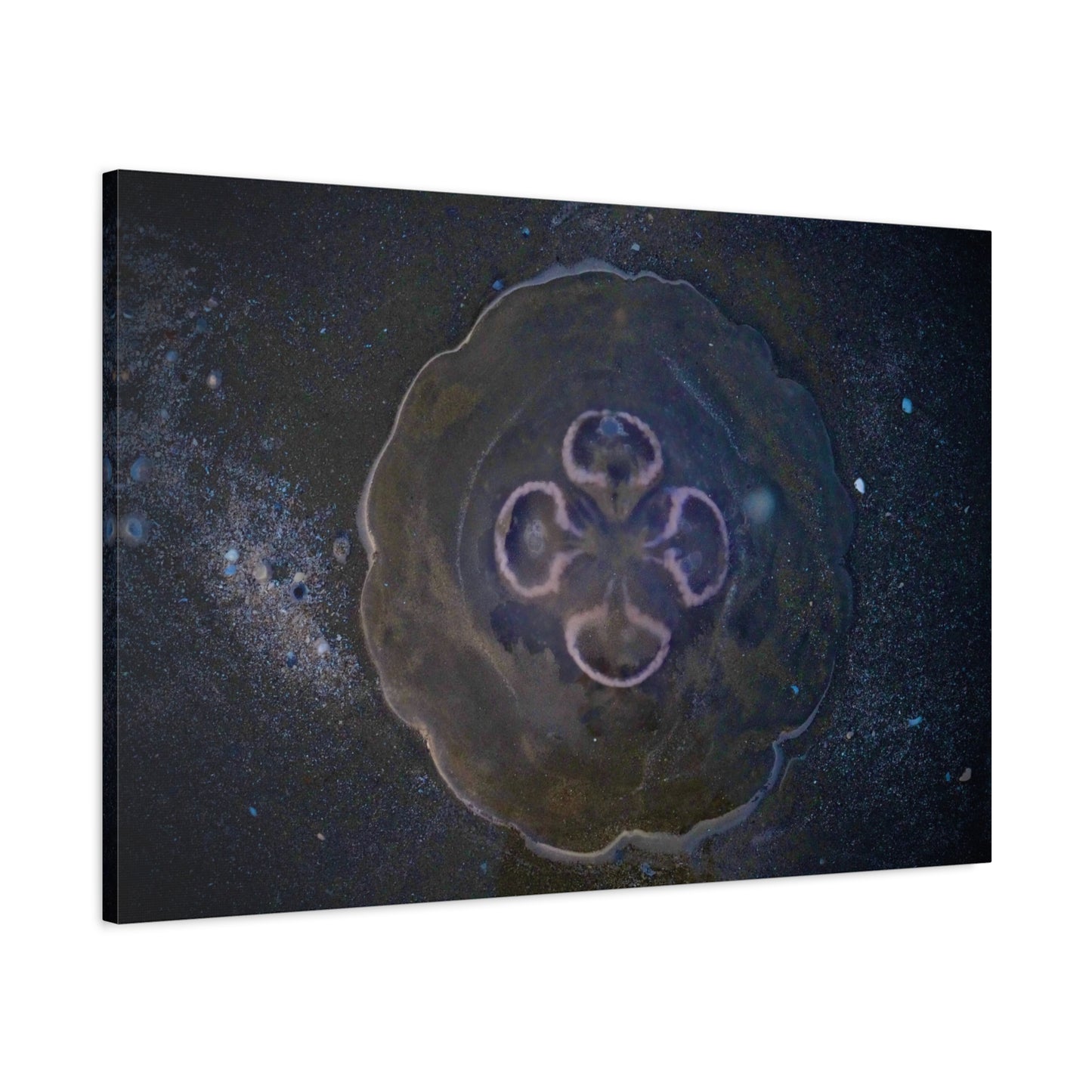 Abstract Jellyfish Canvas Print — Ethereal Ocean Wall Art, Matte Stretched 1.25"