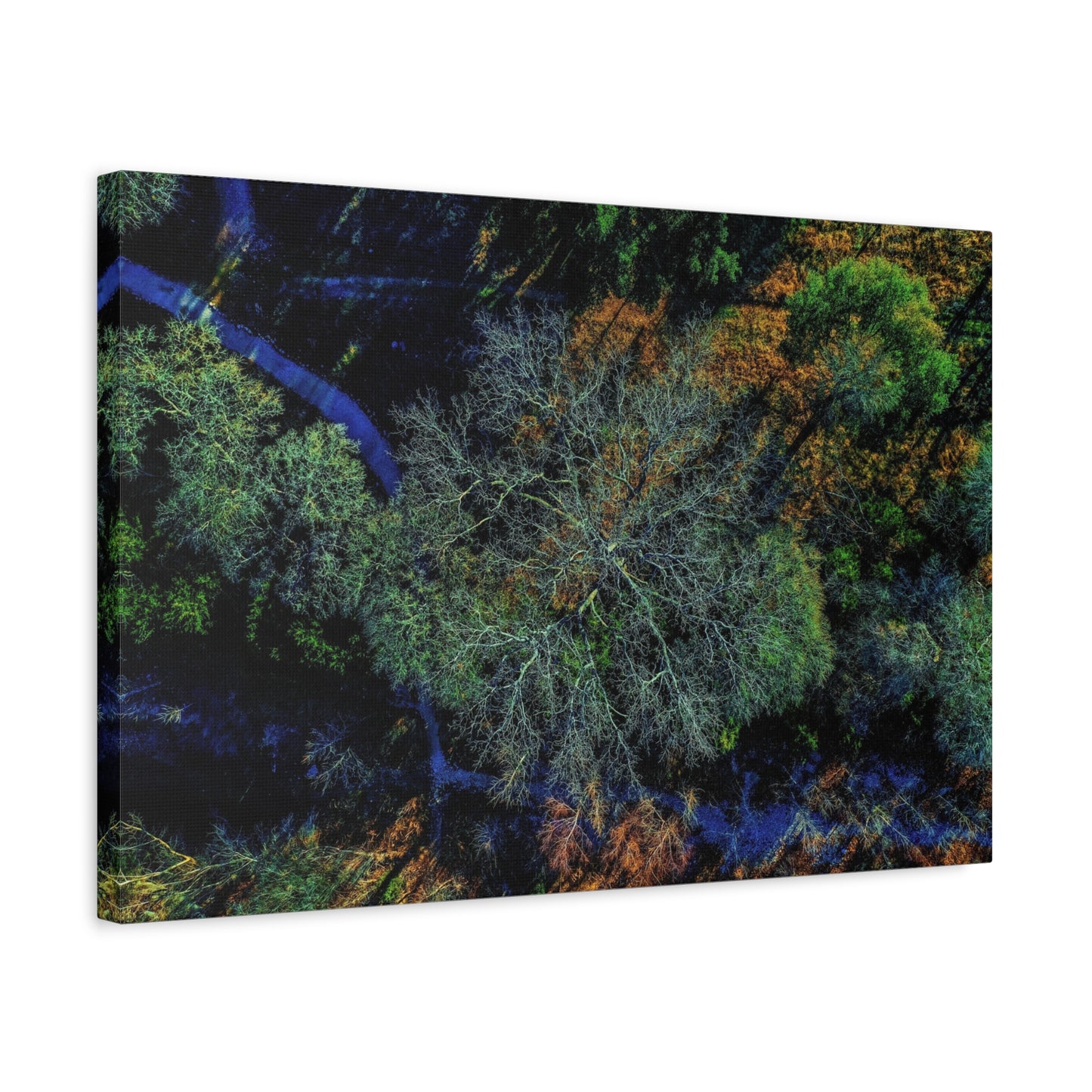Aerial Forest Canvas Print — Matte Stretched Wall Art