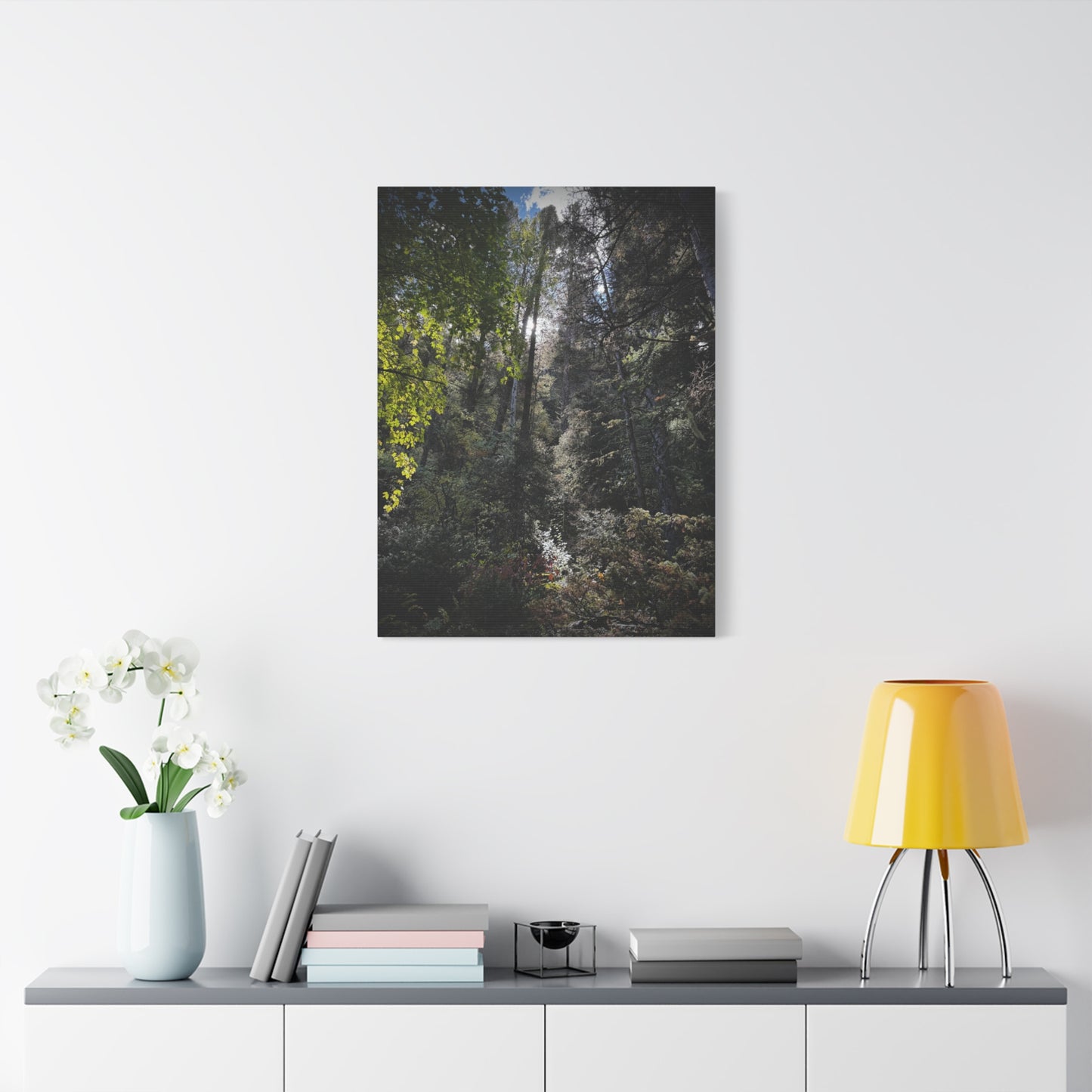 Forest Light Matte Canvas Print — Sunlit Woodland Wall Art (Stretched 1.25")