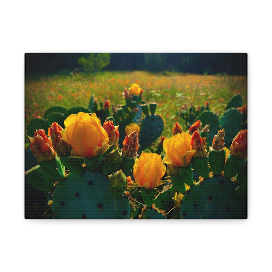 Prickly Pear Cactus Bloom Matte Canvas Print — Stretched Wall Art