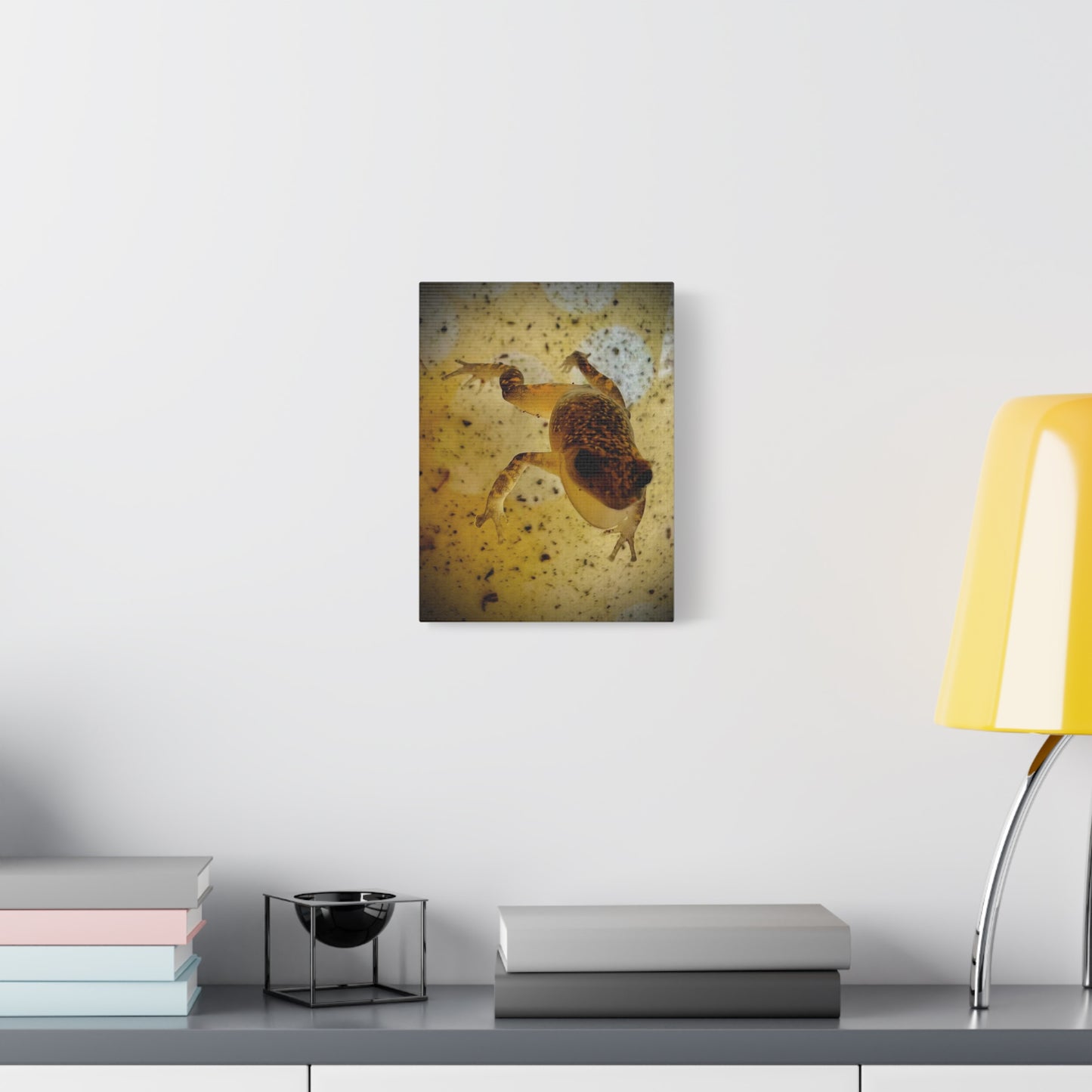 Golden Frog Canvas Wall Art — Close-Up Amphibian Photography
