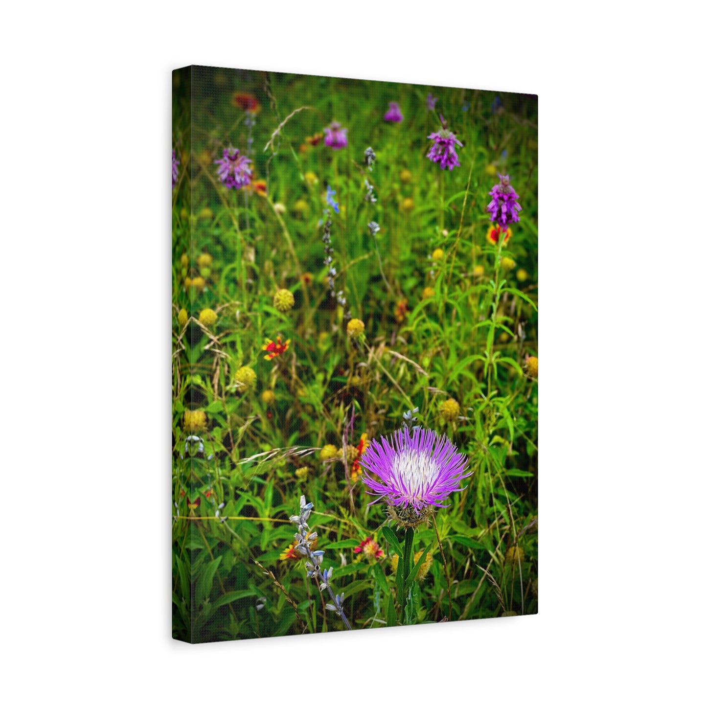 Wildflower Meadow Canvas Print — Stretched Matte Nature Wall Art