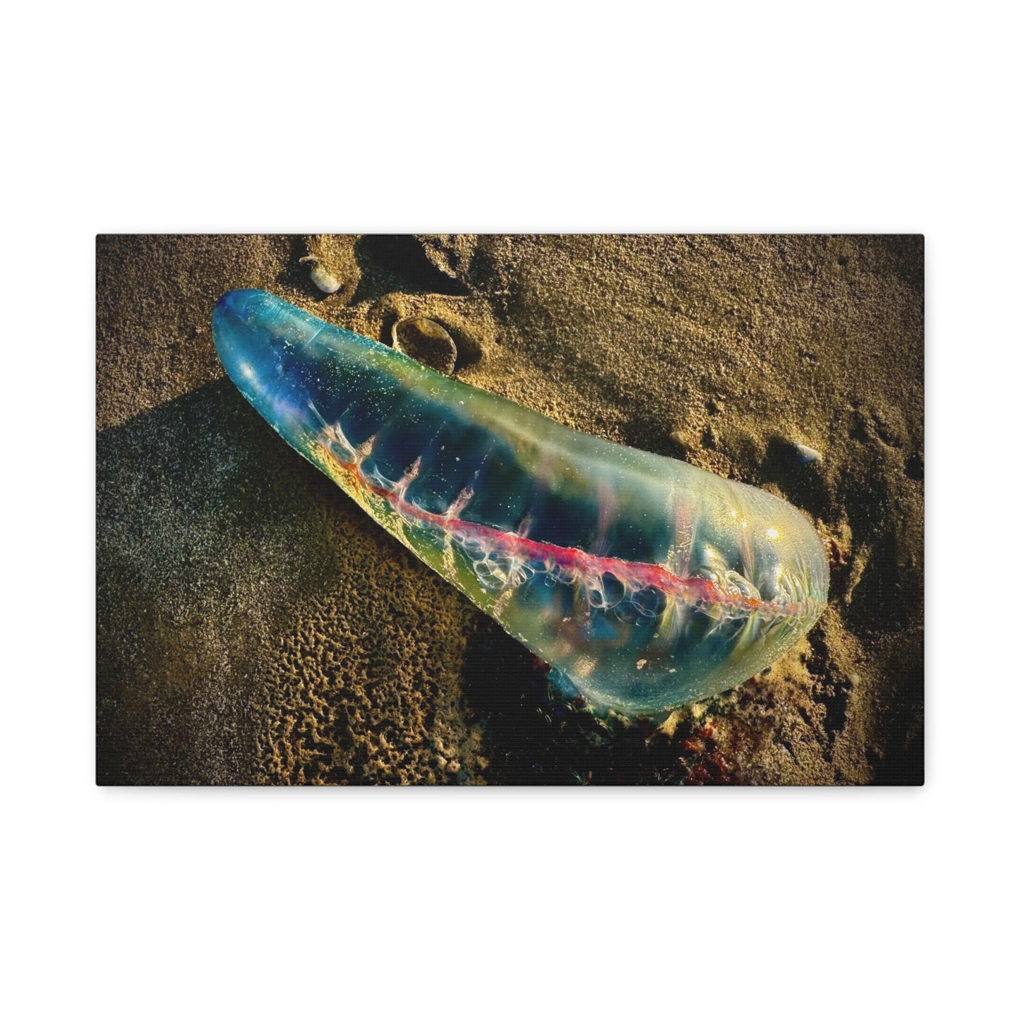 Blue Portuguese Man o' War Canvas Print — Beach Nautical Wall Art