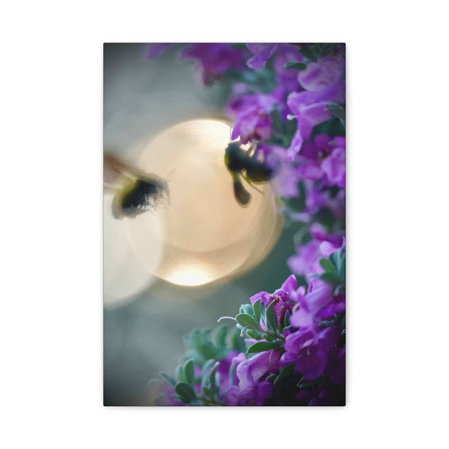 Bokeh Bees & Purple Blooms Matte Canvas Wall Art