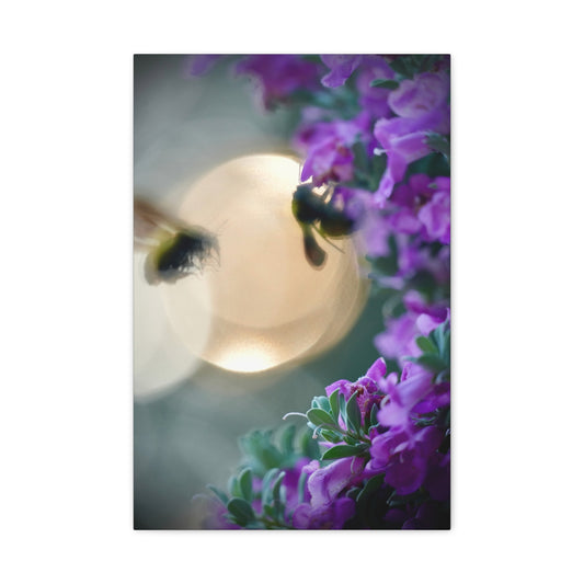 Bokeh Bees & Purple Blooms Matte Canvas Wall Art