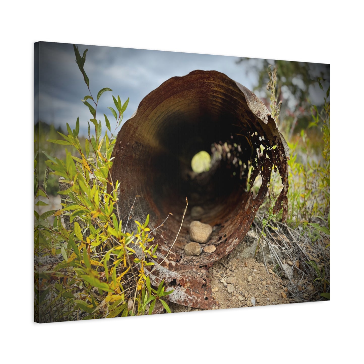 Rusty Pipe Nature Canvas Print — Matte Stretched Wall Art