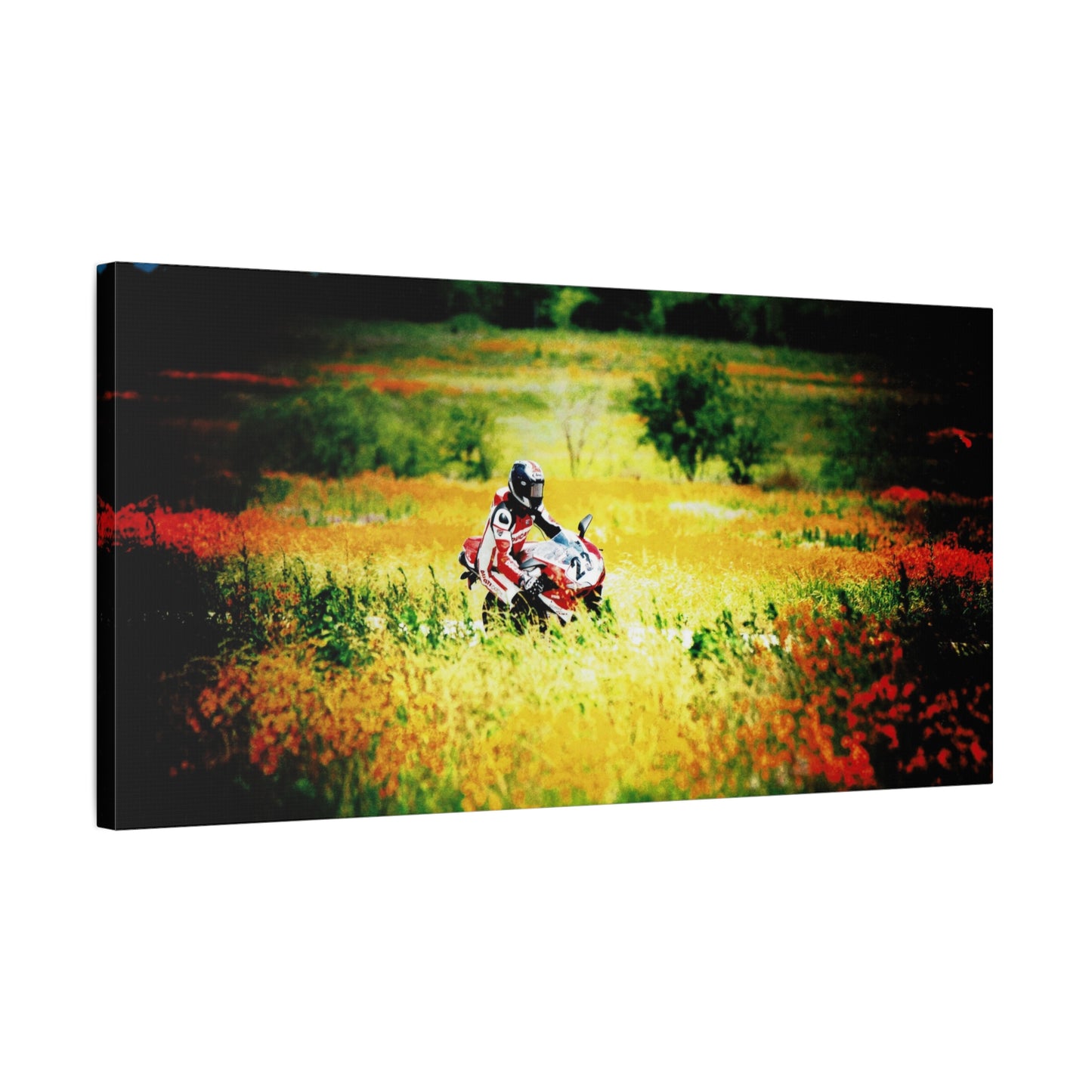 Motorcycle Racing Canvas Print — Rider in Wildflower Field Matte Stretched Art