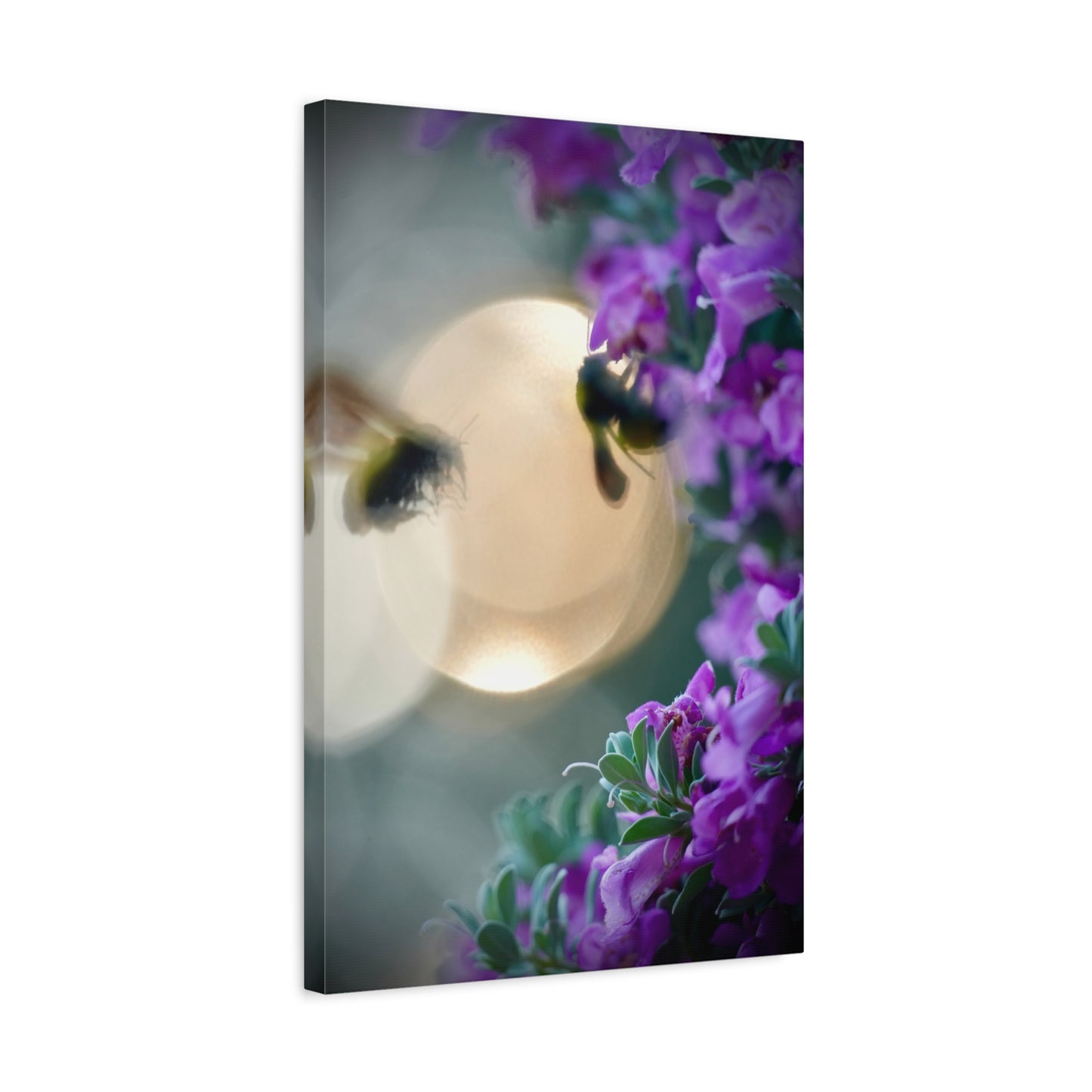 Bokeh Bees & Purple Blooms Matte Canvas Wall Art