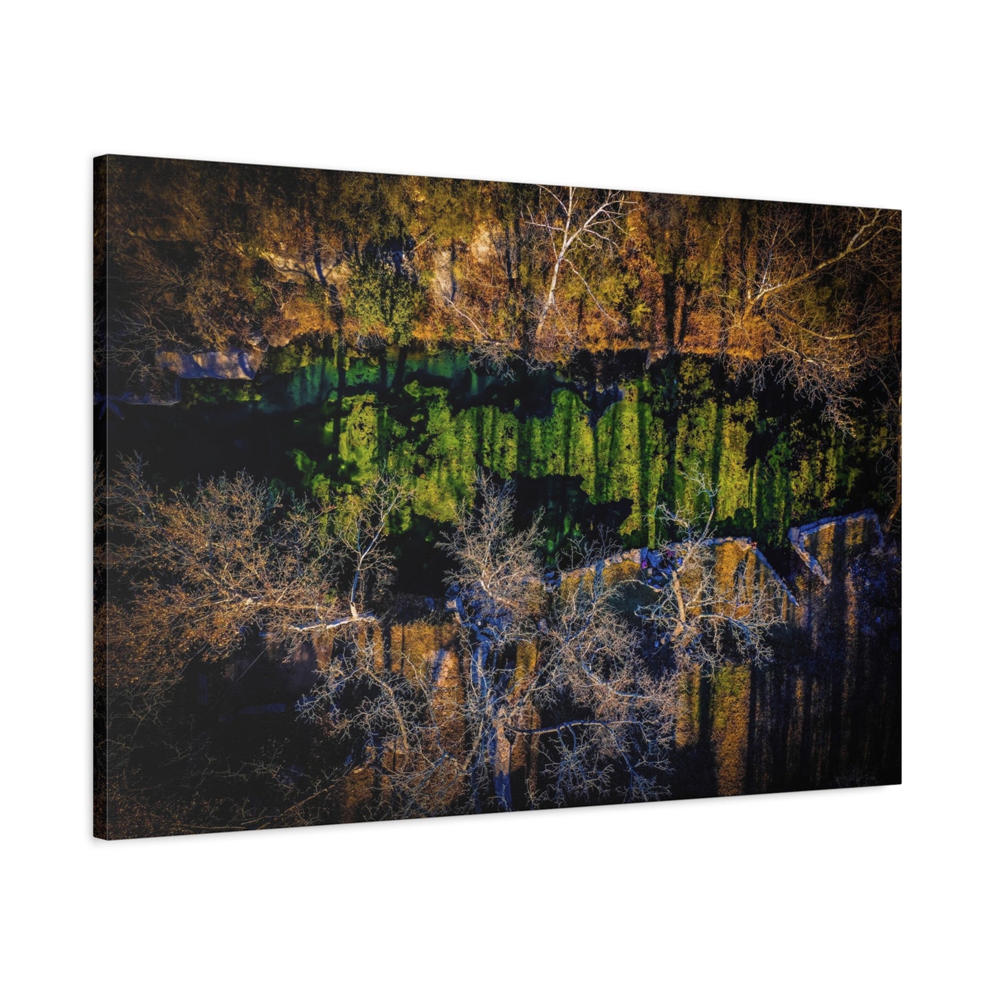 Abstract Forest Reflection Matte Canvas Wall Art — Stretched 1.25"