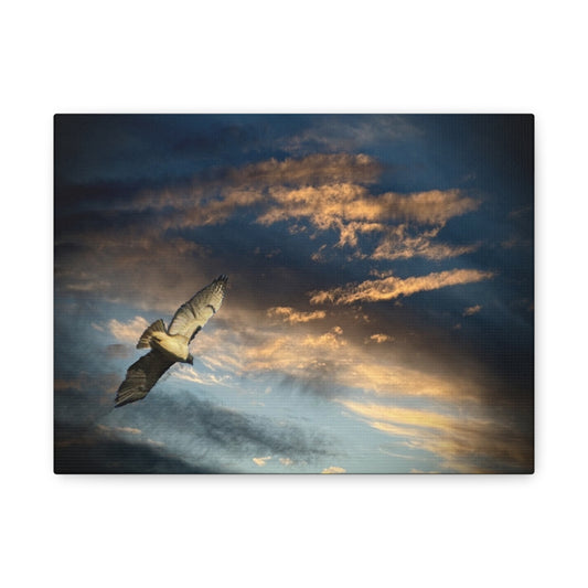 Hawk at Sunset Matte Canvas Print — Coastal Wall Art, Tranquil Ocean Sky