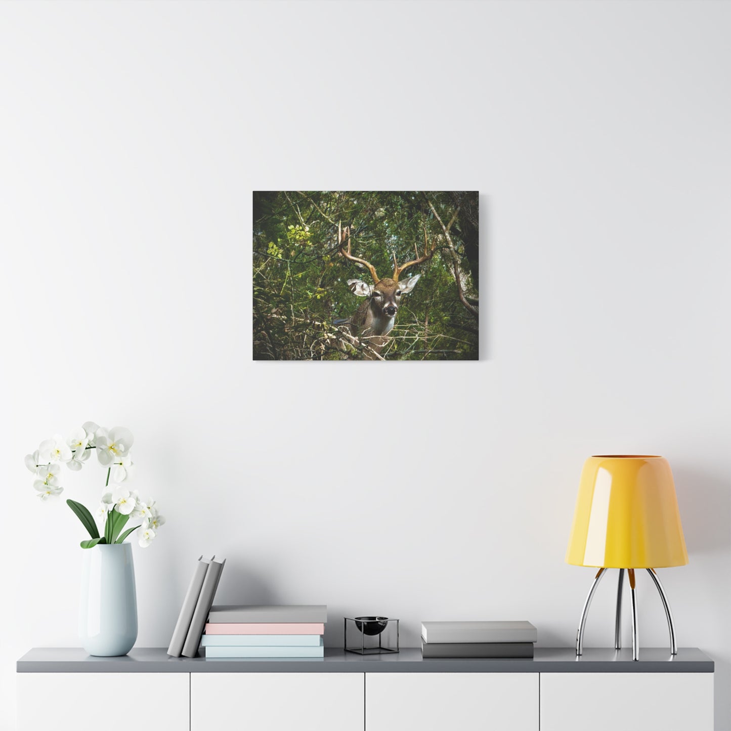 Deer in Forest Matte Canvas Wall Art — Stretched Nature Wildlife Print