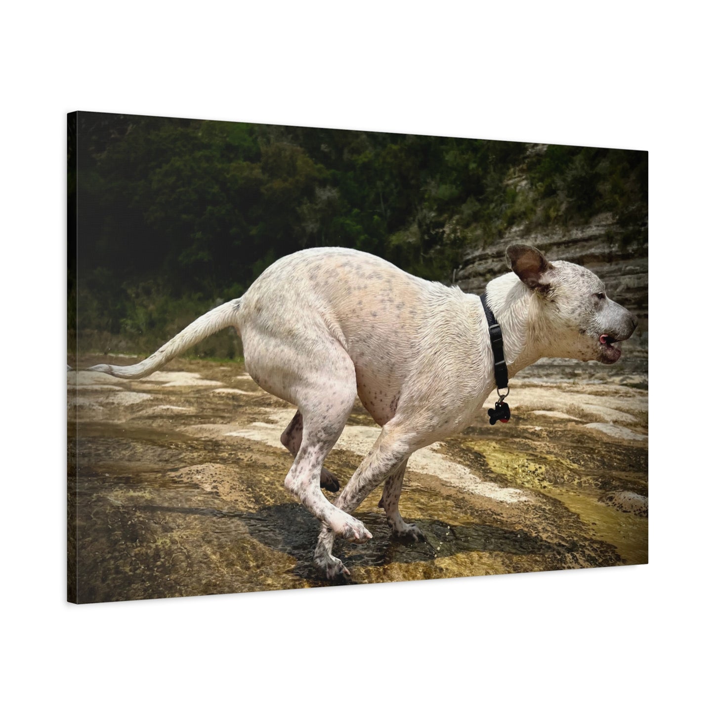 Running Dog Canvas Wall Art – Matte Stretched Pet Photo Print