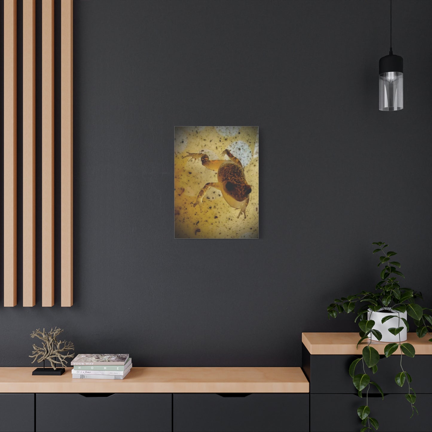 Golden Frog Canvas Wall Art — Close-Up Amphibian Photography