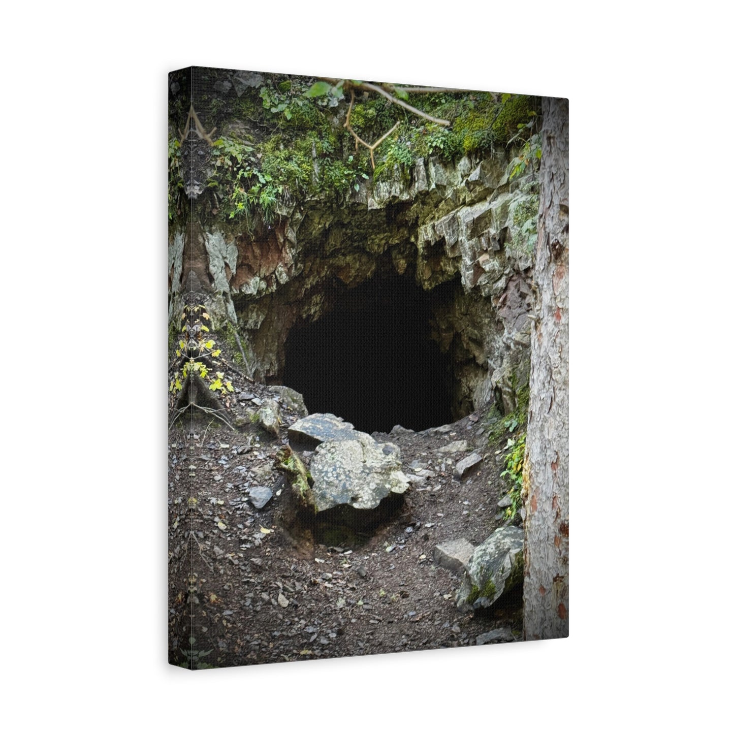 Cave Entrance Matte Canvas Wall Art — Stretched 1.25"