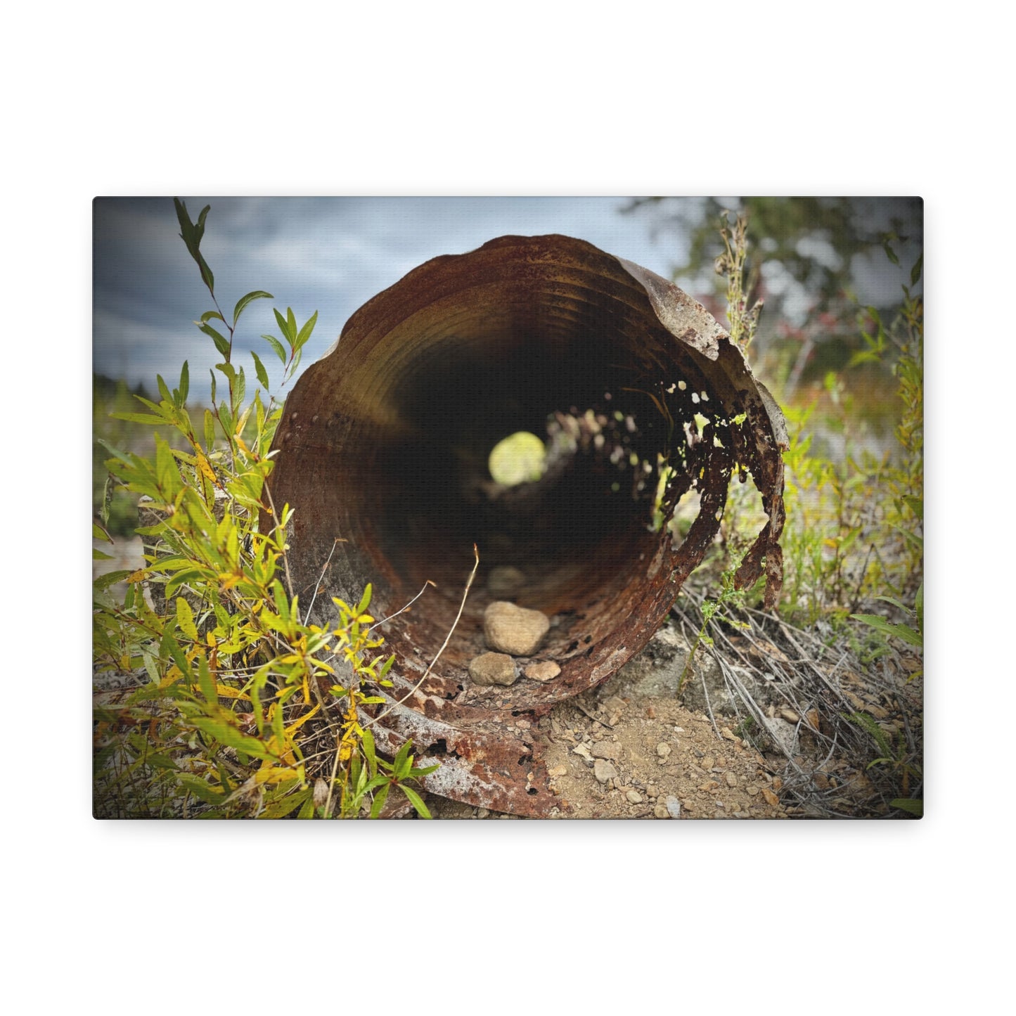 Rusty Pipe Nature Canvas Print — Matte Stretched Wall Art