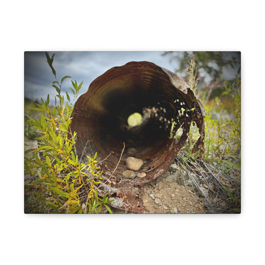Rusty Pipe Nature Canvas Print — Matte Stretched Wall Art
