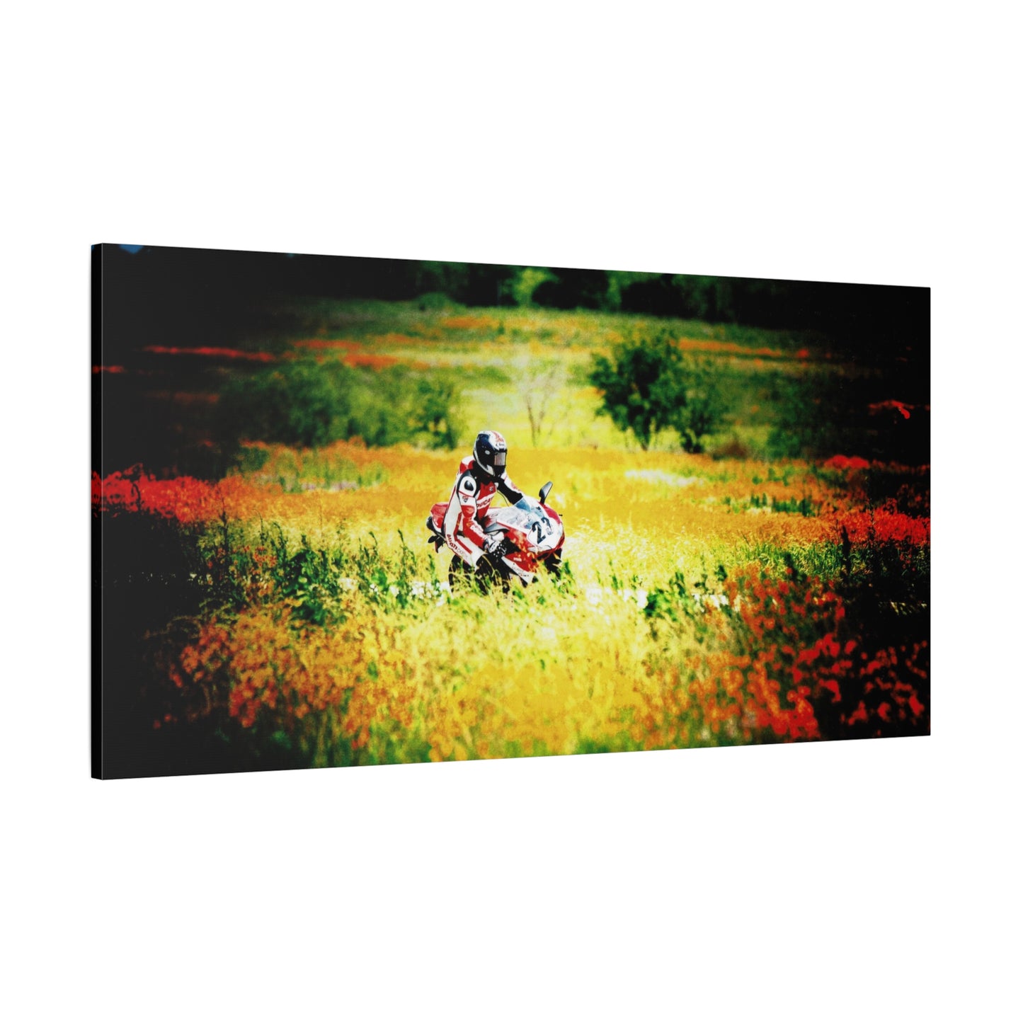 Motorcycle Racing Canvas Print — Rider in Wildflower Field Matte Stretched Art