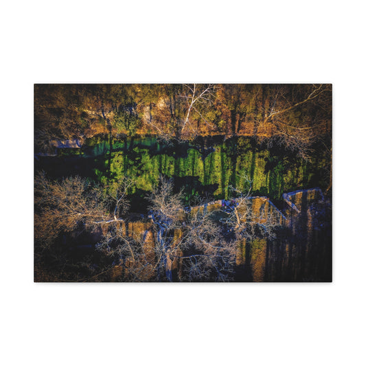 Abstract Forest Reflection Matte Canvas Wall Art — Stretched 1.25"