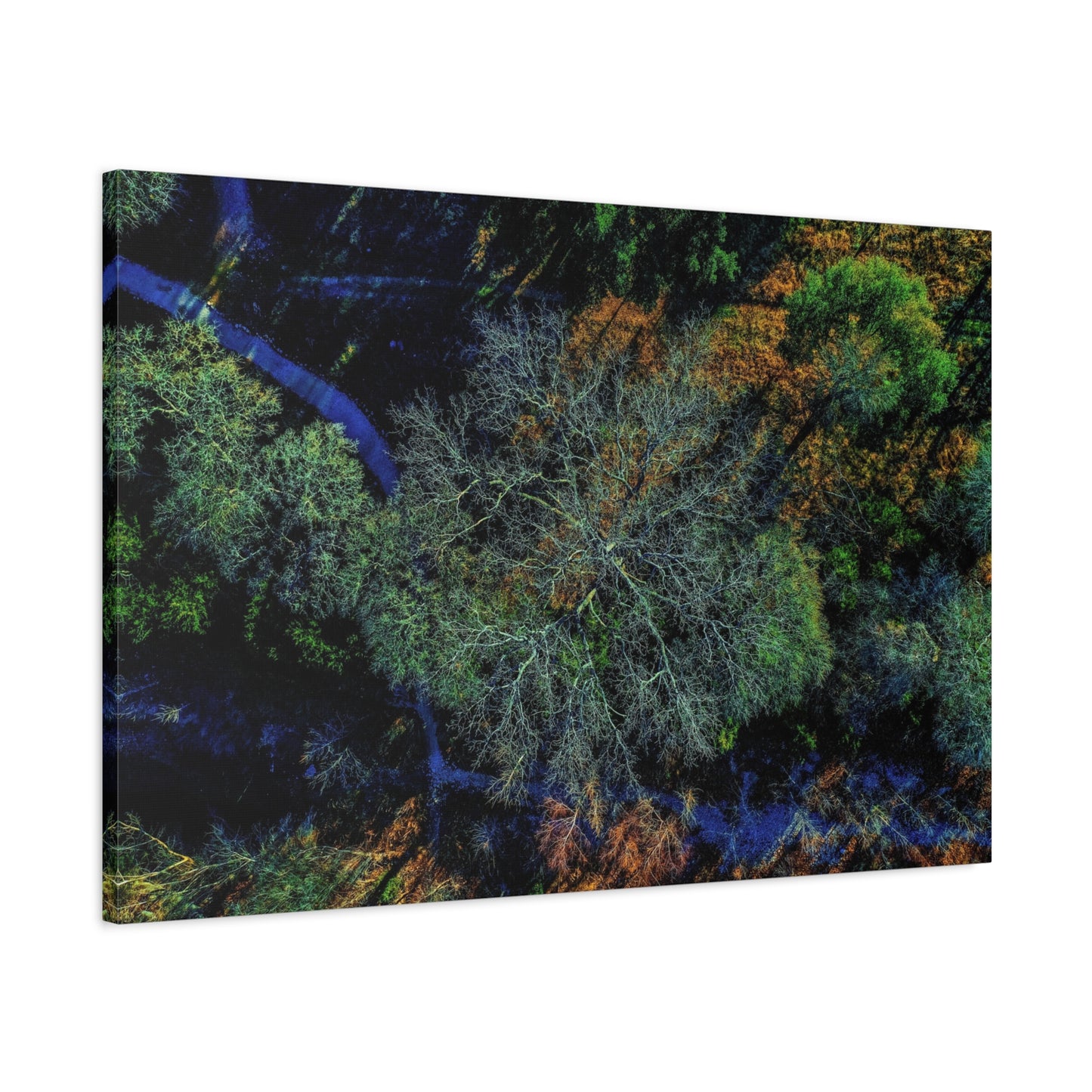 Aerial Forest Canvas Print — Matte Stretched Wall Art