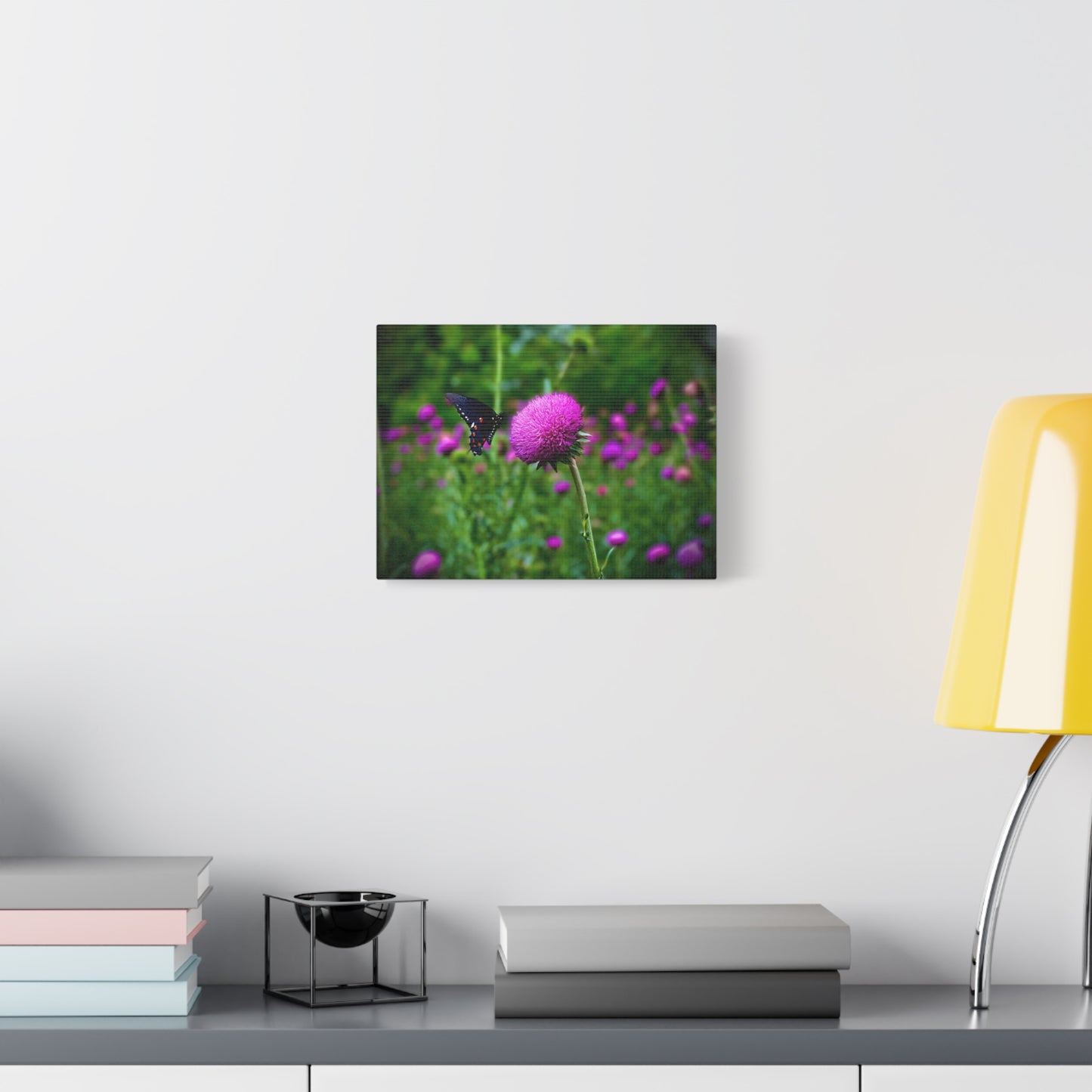 Butterfly on Pink Thistle Canvas Print — Floral Nature Wall Art