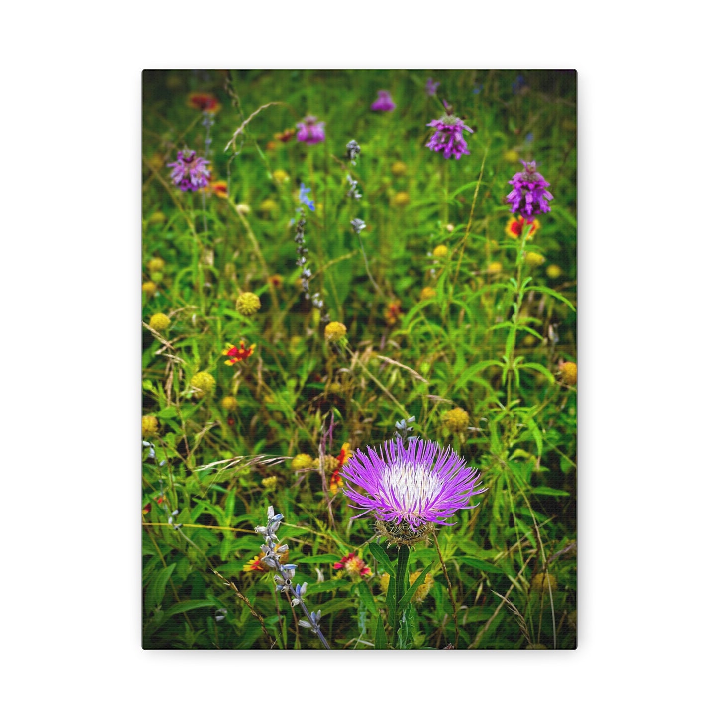 Wildflower Meadow Canvas Print — Stretched Matte Nature Wall Art