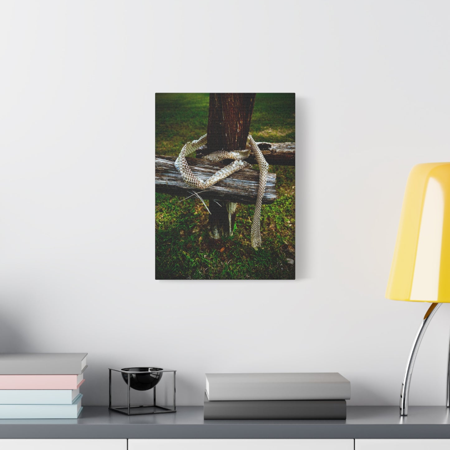 Snake Shed on Rustic Fence — Matte Stretched Canvas Wall Art