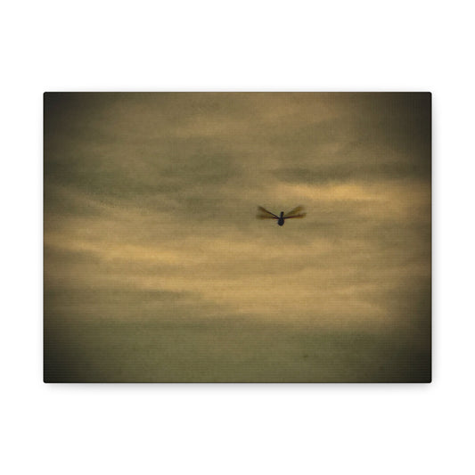 Dragonfly Sky Canvas Print – Moody Vintage Wall Art (Matte Stretched 1.25")