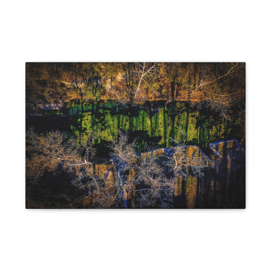 Abstract Forest Reflection Matte Canvas Wall Art — Stretched 1.25"